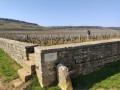 Autour des vignobles les plus chers du monde Autour des vignobles les plus chers du monde