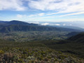 Le Piton Textor depuis la Plaine des Palmistes Le Piton Textor depuis la Plaine des Palmistes