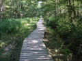 Tour de l'Etang de Saint Bonnet-Tronçais au coeur de la Forêt de Tronçais Tour de l'Etang de Saint Bonnet-Tronçais au coeur de la Forêt de Tronçais