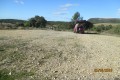 Le Bois de Paris au départ de Garrigues Le Bois de Paris au départ de Garrigues