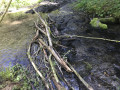 Passage à gué du ruisseau de Gros-Fays Passage à gué du ruisseau de Gros-Fays
