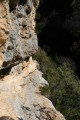 Le sentier du Bastidon en boucle depuis La Palud-Sur-Verdon Le sentier du Bastidon en boucle depuis La Palud-Sur-Verdon