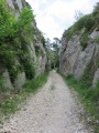 Glanum et les crêtes des Alpilles Glanum et les crêtes des Alpilles