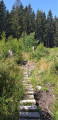 Passerelle rudimentaire Passerelle rudimentaire
