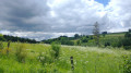Pâturages ardennais Pâturages ardennais