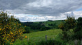 En passant par Limerlé depuis Steinbach En passant par Limerlé depuis Steinbach