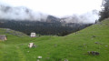 Le Grand Veymont Le Grand Veymont