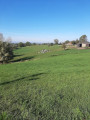 Paysage champêtre Paysage champêtre