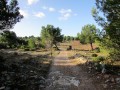 Paysage sur le sentier Paysage sur le sentier