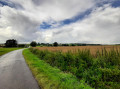La jolie campagne vallonnée de Thoricourt La jolie campagne vallonnée de Thoricourt