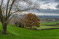 Paysage Paysage