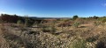 Paysage Paysage