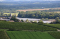 Au cœur des appellations viticoles de Pouilly Au cœur des appellations viticoles de Pouilly