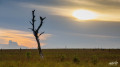 Paysages d'ici ou d'ailleurs... Paysages d'ici ou d'ailleurs...