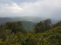 Paysages typiques Paysages typiques