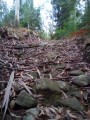 Pendant la montée vers la Serra Pendant la montée vers la Serra