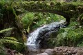 Le saut de la Bourrique Le saut de la Bourrique