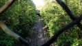 Petite Ceinture Petite Ceinture