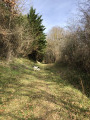 Panorama sur Montesquieu-Volvestre et la chaine des Pyrénées Panorama sur Montesquieu-Volvestre et la chaine des Pyrénées