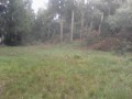 Le Piton Darid Le Piton Darid