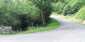 Boucle en forêt de Barousse entre hêtres et pins Boucle en forêt de Barousse entre hêtres et pins