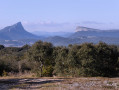 Pic Saint-Loup et Hortus Pic Saint-Loup et Hortus