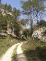La Forêt des Cèdres depuis Mérindol La Forêt des Cèdres depuis Mérindol