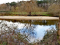 Balade au bord de l'Adour et dans ses barthes Balade au bord de l'Adour et dans ses barthes