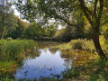 Plan d'eau au bas de Williers Plan d'eau au bas de Williers