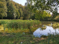 Plan d'eau au bas du village de Williers Plan d'eau au bas du village de Williers