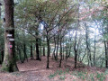 De Nouzonville à Monthermé via la Crête du Liry et les Quatre Fils Aymons De Nouzonville à Monthermé via la Crête du Liry et les Quatre Fils Aymons