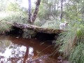 Tarnac, moulins et rochers Tarnac, moulins et rochers