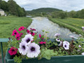 Pont sur la Semois Pont sur la Semois