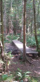 Ponton au dessus du ruisseau d'Omois Ponton au dessus du ruisseau d'Omois