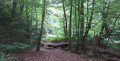 Balade vers la source du Ruisseau du Defoi Balade vers la source du Ruisseau du Defoi