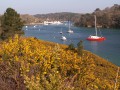 Le long du Belon et l'estuaire de l'Aven Le long du Belon et l'estuaire de l'Aven