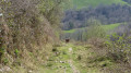 Camino de Bastan au départ du Puerto de Otsondo Camino de Bastan au départ du Puerto de Otsondo