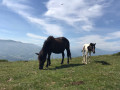 L'Ursuya en boucle depuis Hasparren L'Ursuya en boucle depuis Hasparren