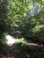Pour enjamber le ruisseau de Bellefontaine Pour enjamber le ruisseau de Bellefontaine