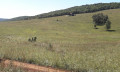 Prairie Slovaque Prairie Slovaque
