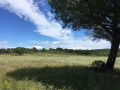 L'espace naturel Clos de Gaillard L'espace naturel Clos de Gaillard