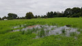 Prairies dans la plaine de la Sille Prairies dans la plaine de la Sille