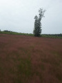 Pré du Rondia Pré du Rondia