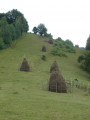 Pré sur les collines de Suplai. Pré sur les collines de Suplai.