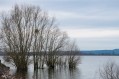 Tour du Lac de Vingeanne Tour du Lac de Vingeanne