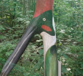 Le sentier d'aventure de la forêt d'Urbach Le sentier d'aventure de la forêt d'Urbach