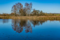 Un coin pittoresque du Borinage et les Marais d'Harchies Un coin pittoresque du Borinage et les Marais d'Harchies