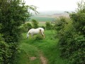 Sentier des Tourelles - Bazinghen, un vieux village du Boulonnais Sentier des Tourelles - Bazinghen, un vieux village du Boulonnais