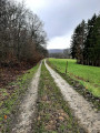 Randonnée des 2 moulins et de la scierie sur l'Hermeton au départ de Gochenée Randonnée des 2 moulins et de la scierie sur l'Hermeton au départ de Gochenée