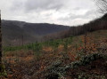 Randonnée des 2 moulins et de la scierie sur l'Hermeton au départ de Gochenée Randonnée des 2 moulins et de la scierie sur l'Hermeton au départ de Gochenée
